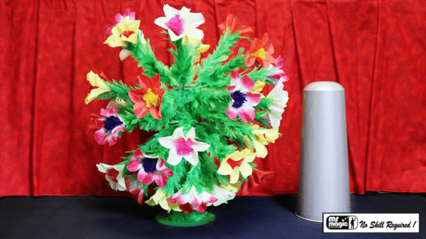 jumbo_botania Jumbo Botania